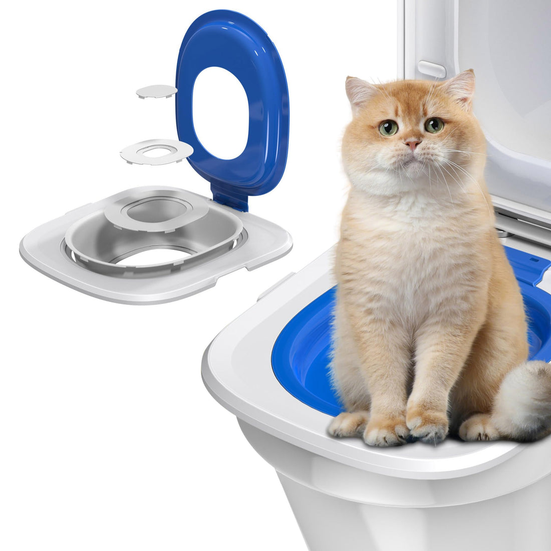 Cat Toilet Trainer Kit | Cat Potty Training Kit