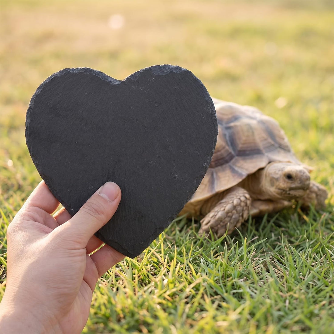 Basking Rock Slate Rocks for Reptiles Basking Platform 5.9 × 5.9 Inch