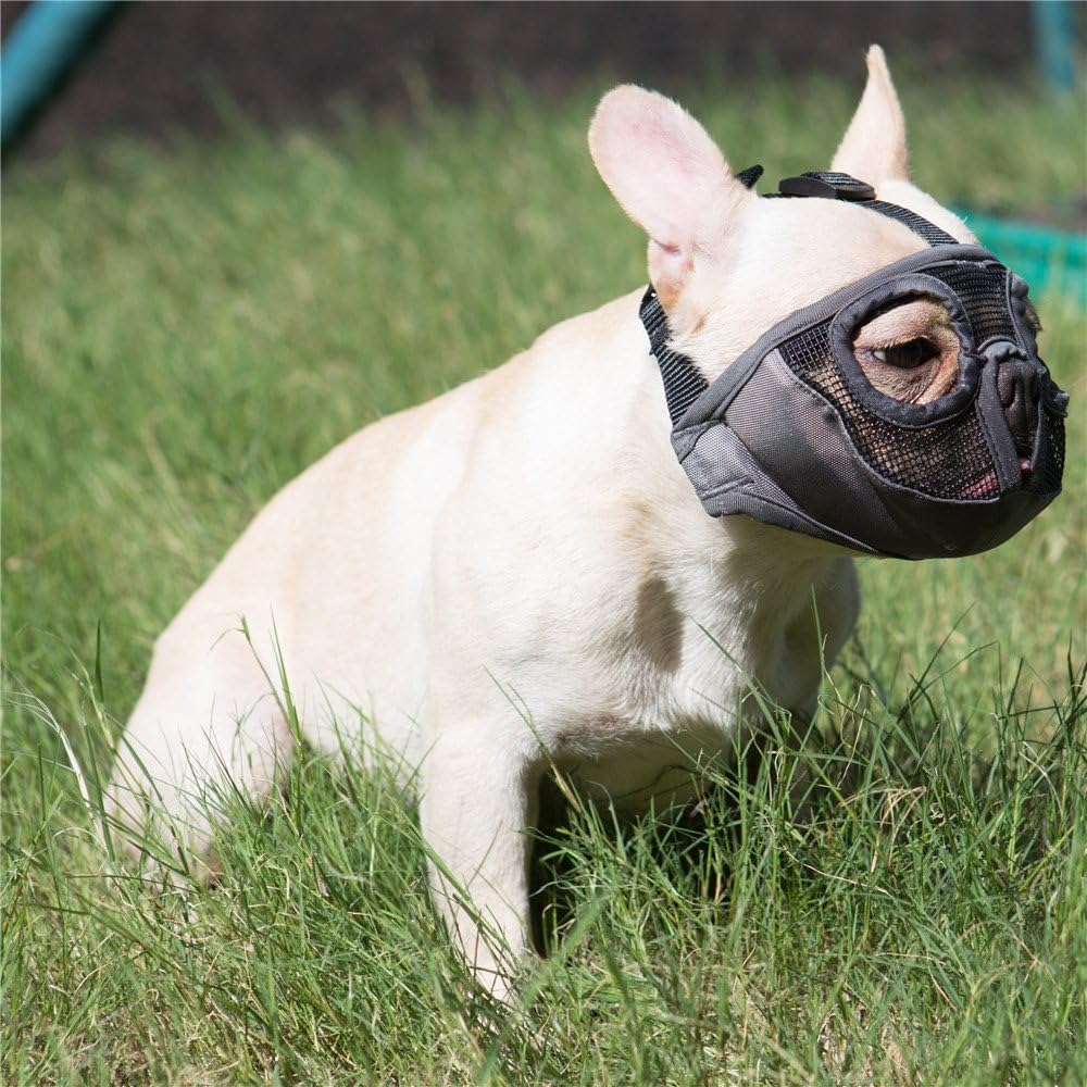 Short Snout Dog Muzzle- Adjustable Breathable Mesh Bulldog Muzzle