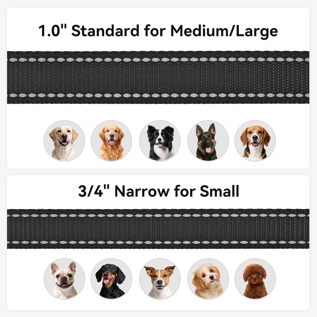 Joytale Dog Leash, 6 FT Double-Sided Reflective