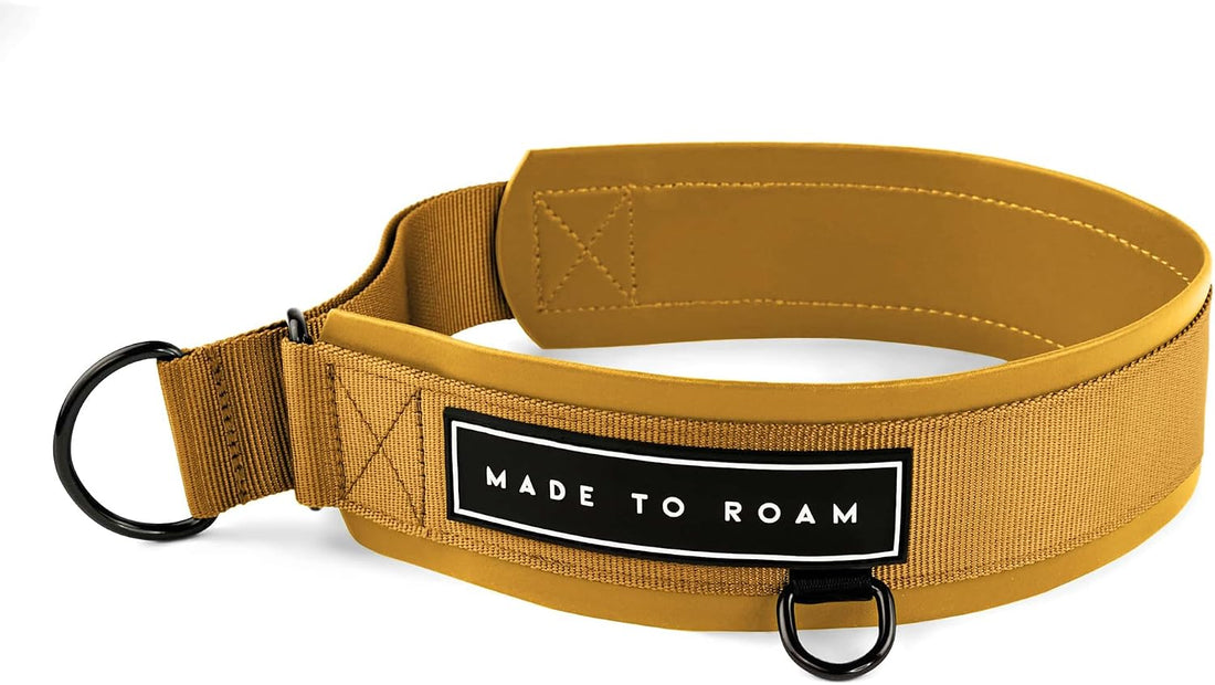 MADE TO ROAM Premium Everyday Dog Collar