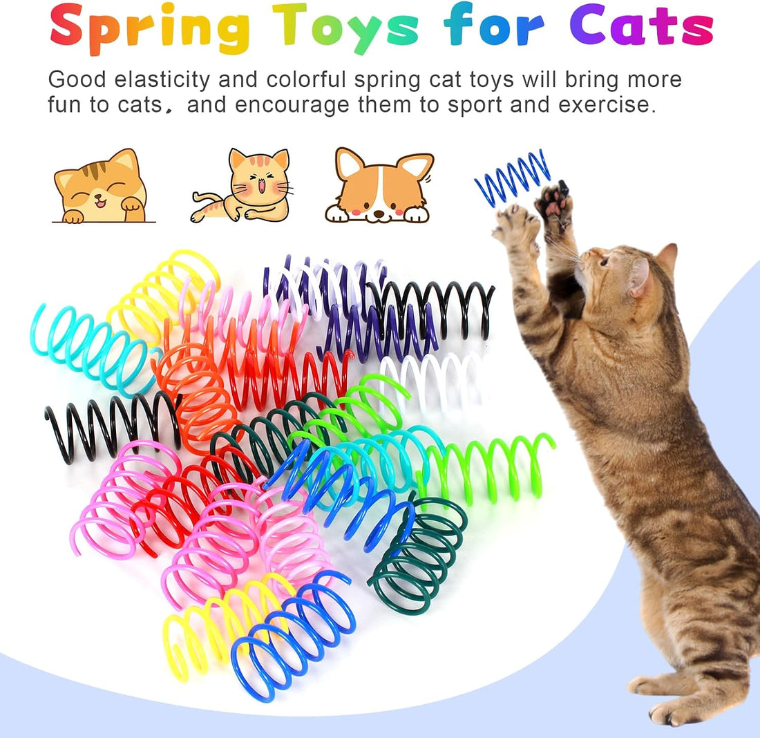 72 PCS 12 Colors Cat Spring Toys for Indoor Cats