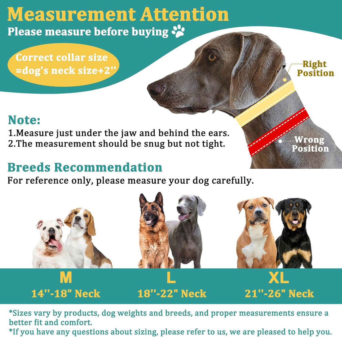 Mayerzon No Pull Collar for Large Medium Dogs Walking that Pull, Cyan