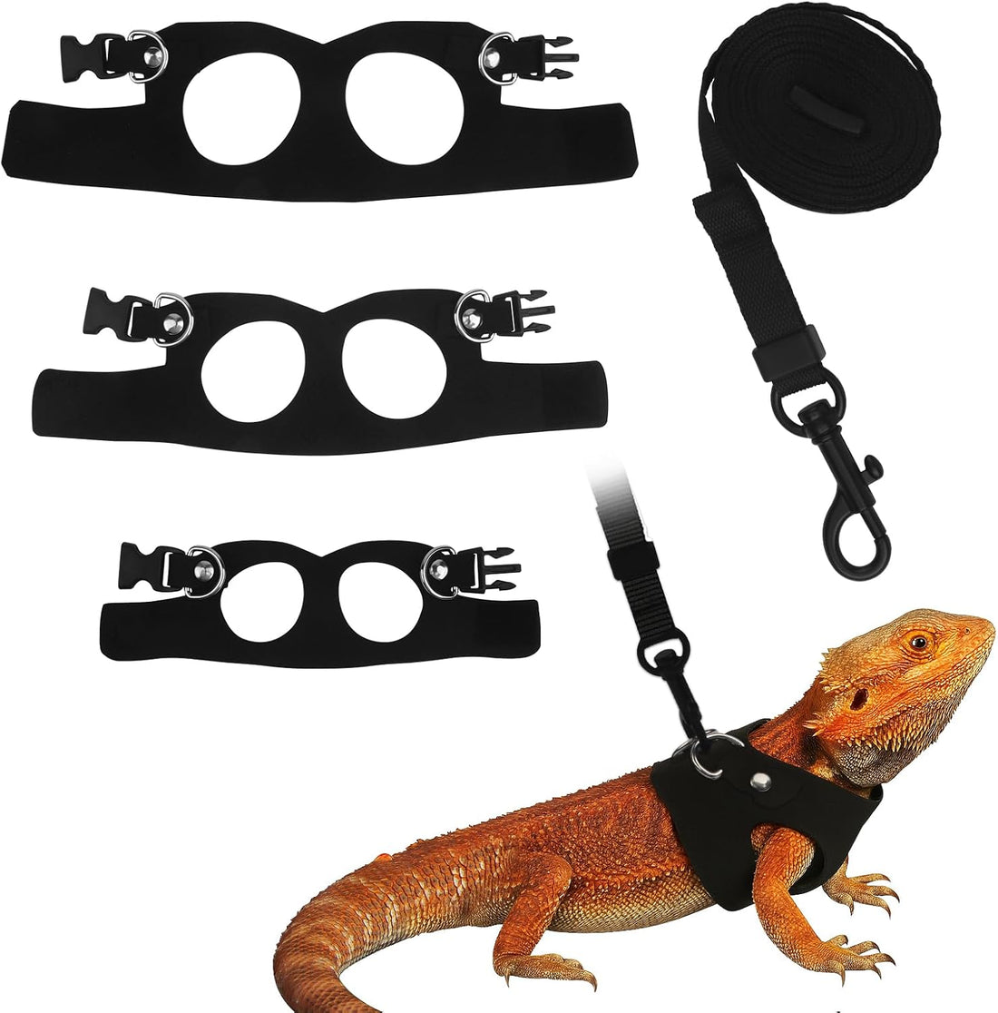 3Size Black Bearded Dragon Leash and Harness Set with Lizard Traction