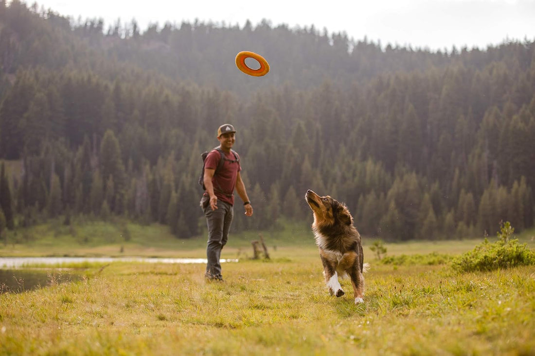 Ruffwear Hydro Plane Floating Dog Flying Disc