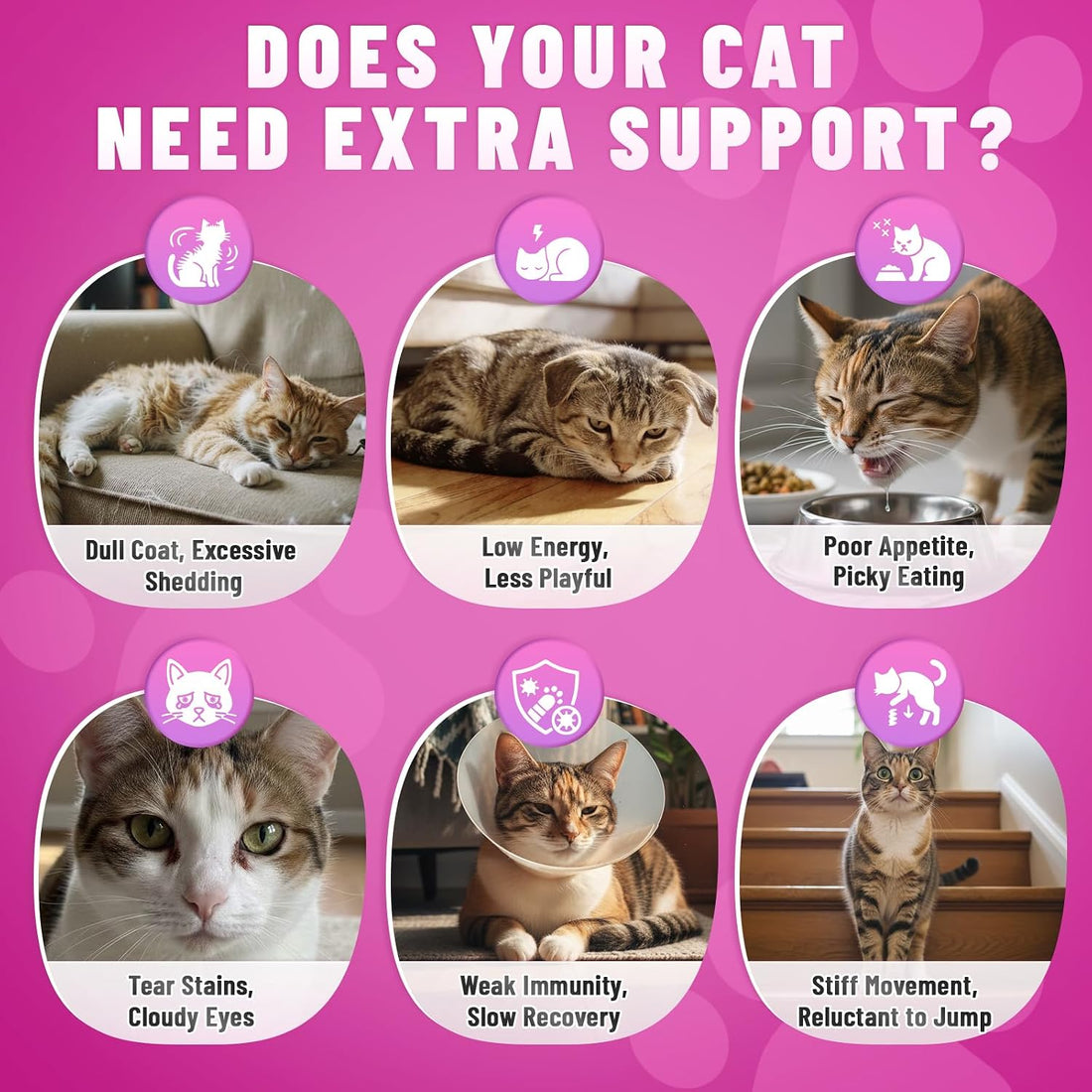 Taurine for Cats Vitamins Treats