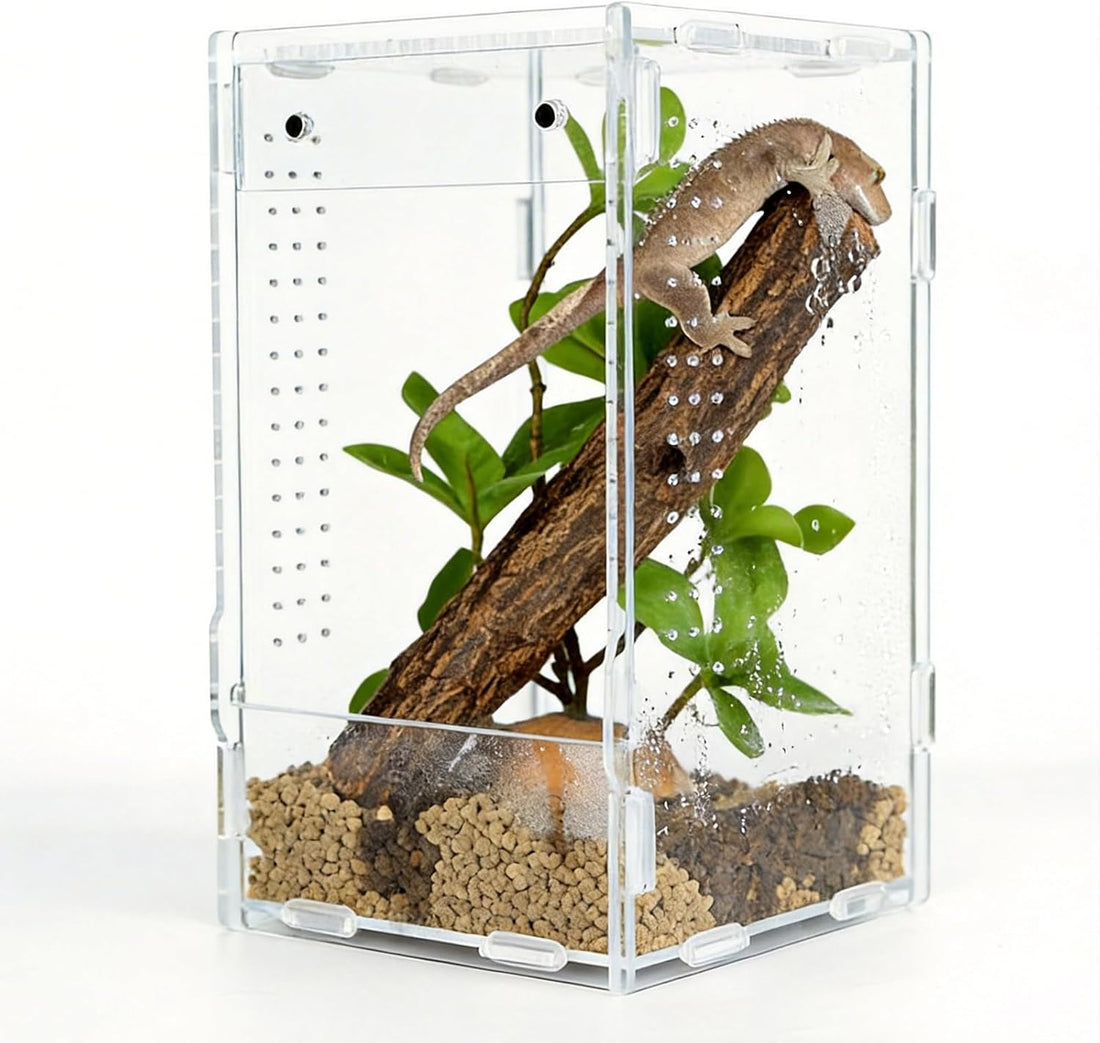 8x8x12 Acrylic Reptile Enclosure - Clear Terrarium Geckos Spiders