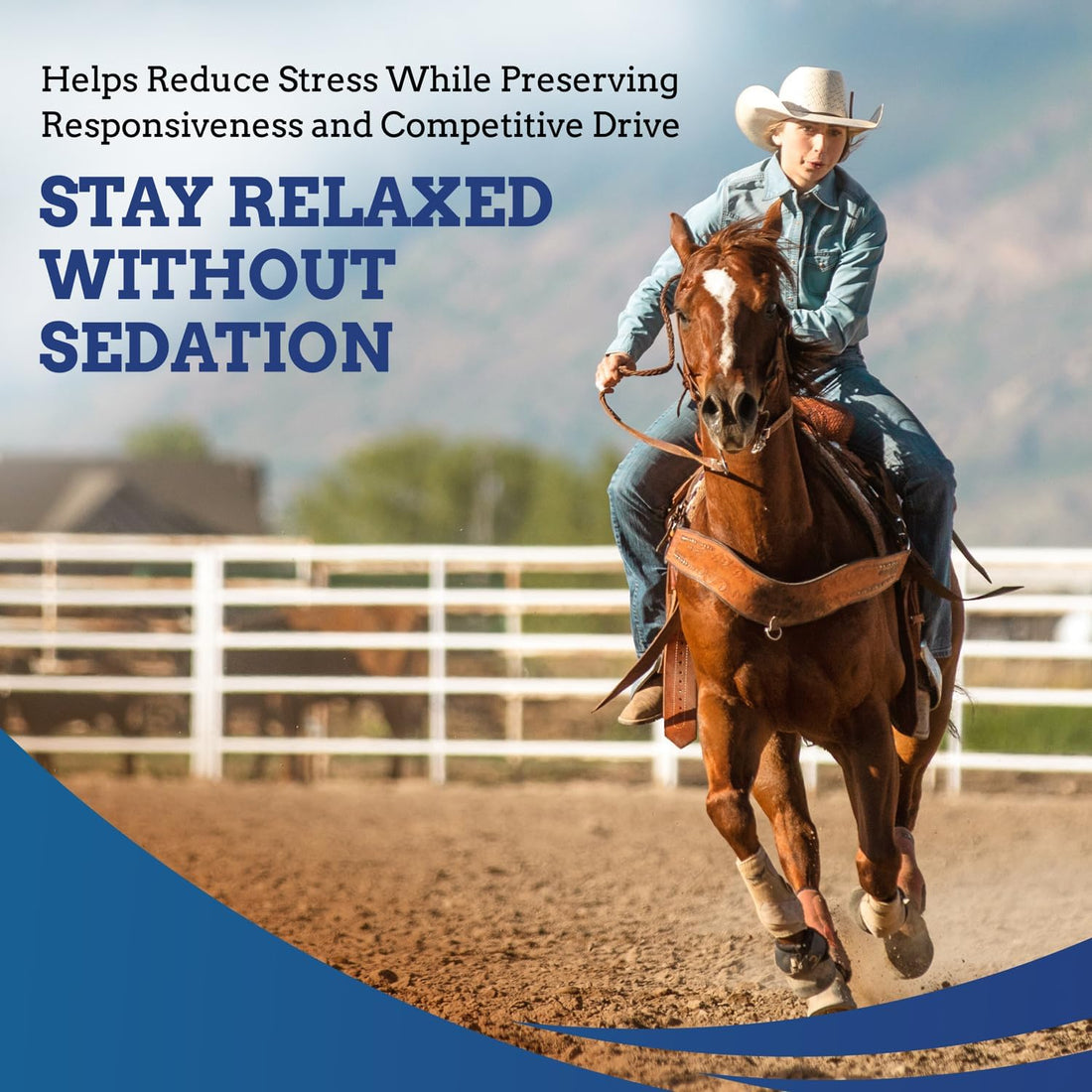 SynNutra TryChill Horse Calming Supplement, 1 Pack | Composure Support