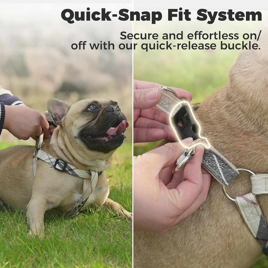 BINGPET No Pull Dog Harness Leash Collar Set,Adjustable Step