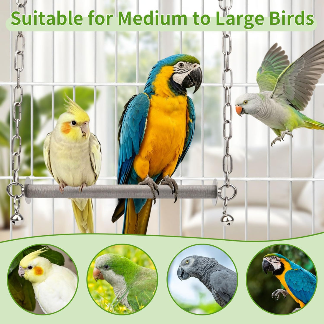 Litewoo Stainless Steel Large Bird Swing Perch Stand Toy for Parrot