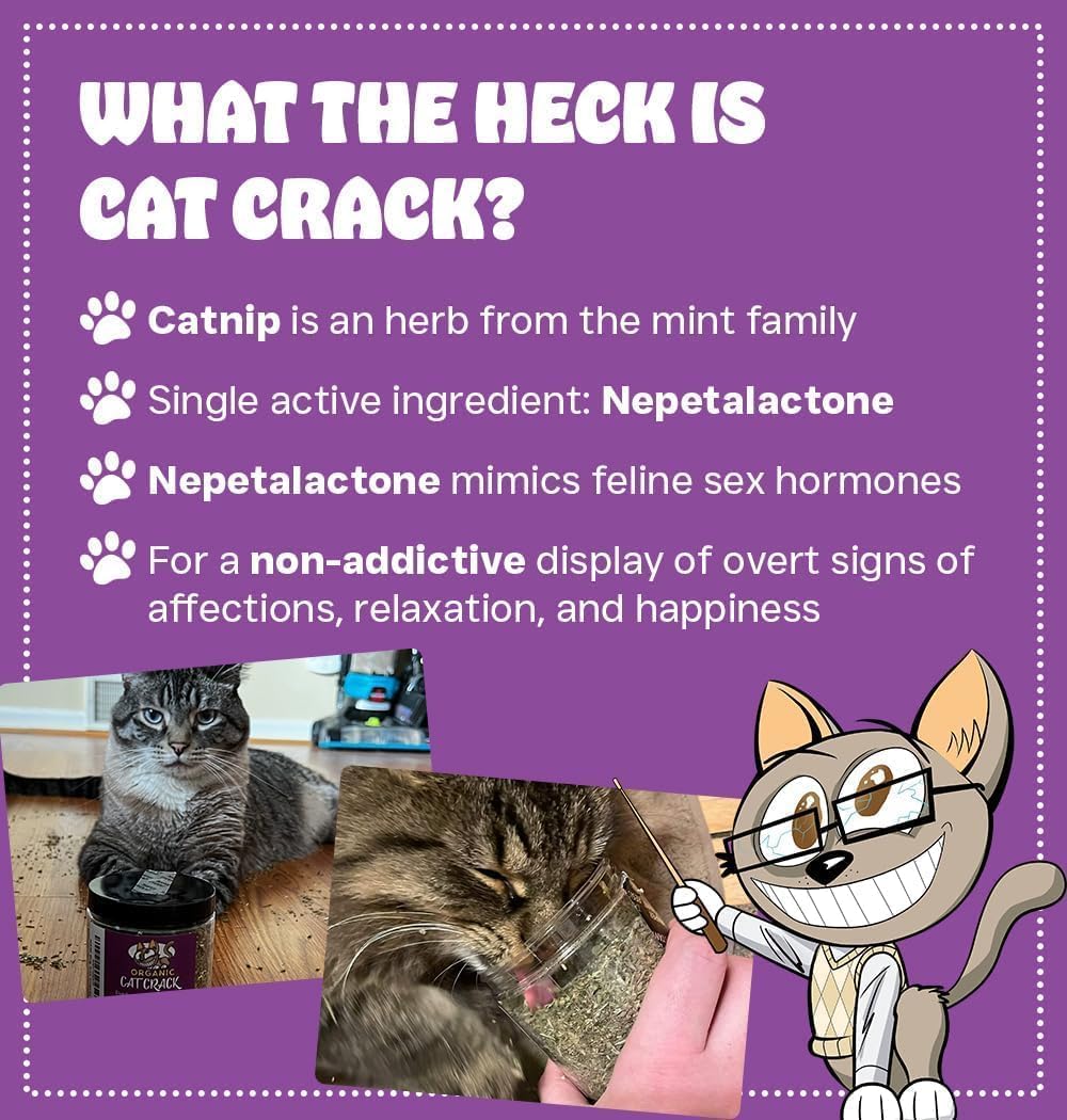 Cat Crack Organic Catnip, 100% Natural Cat Nips Organic Blend that