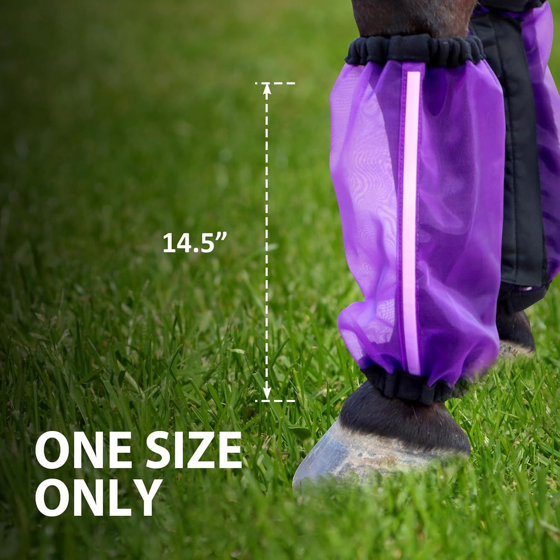 Universal Size Horse Leggings Fine Mesh Horse Fly Boots Greatly