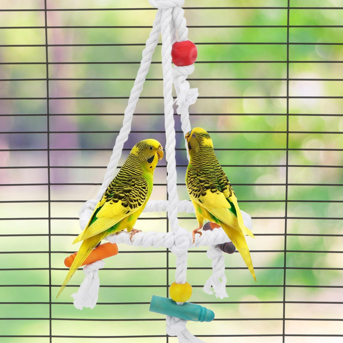 Hypeety Bird Swing Multi Birds Cotton Rope Round Hanging Hammock