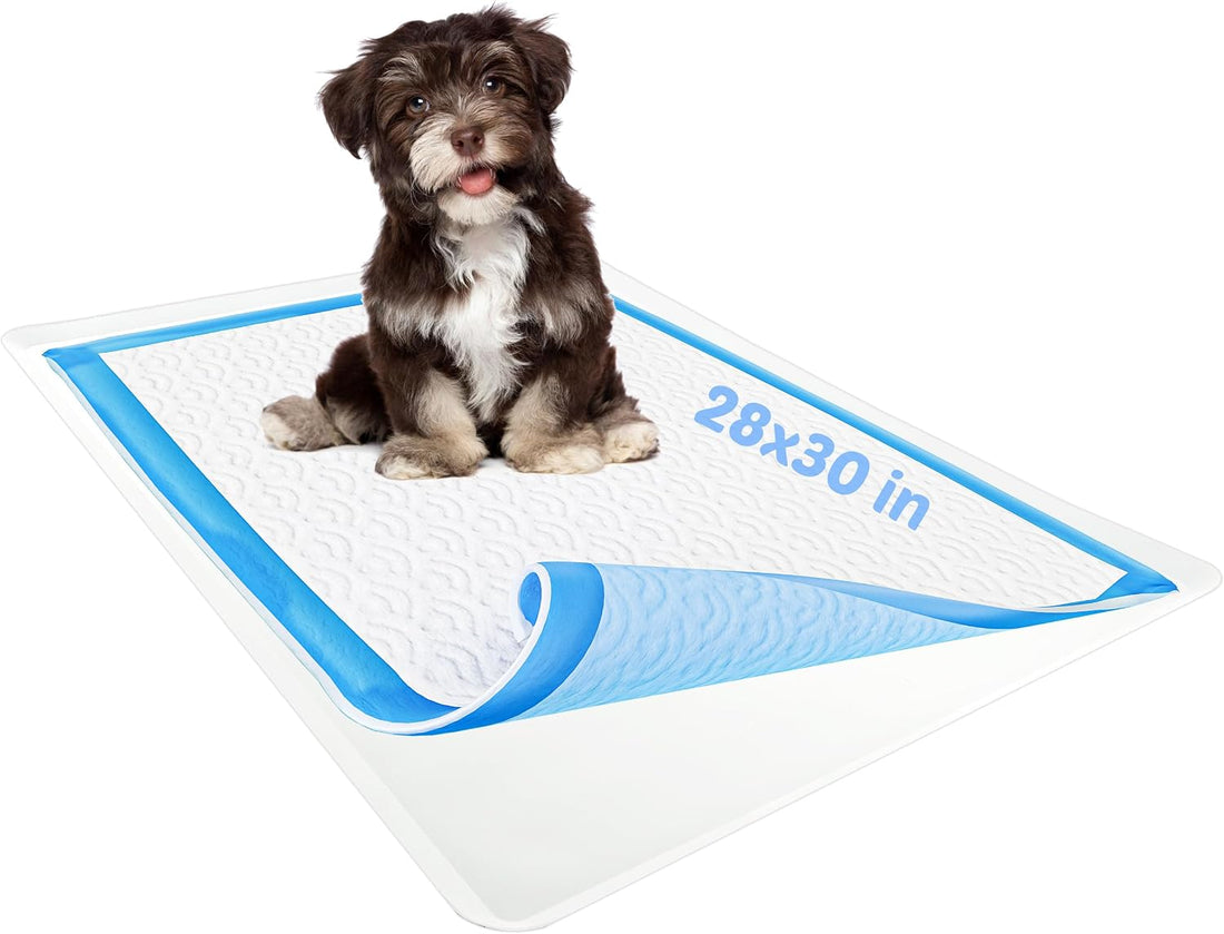 Dog Pee Pad Holder - Fits Up to 28” x 30” Pee Pad - 1 Pack