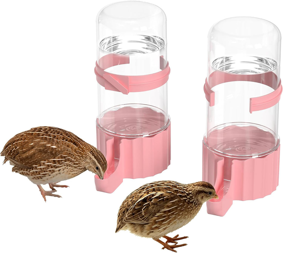 2-Pack 16.9 oz Quail Chick Automatic Waterer,No Waste Hanging Quail