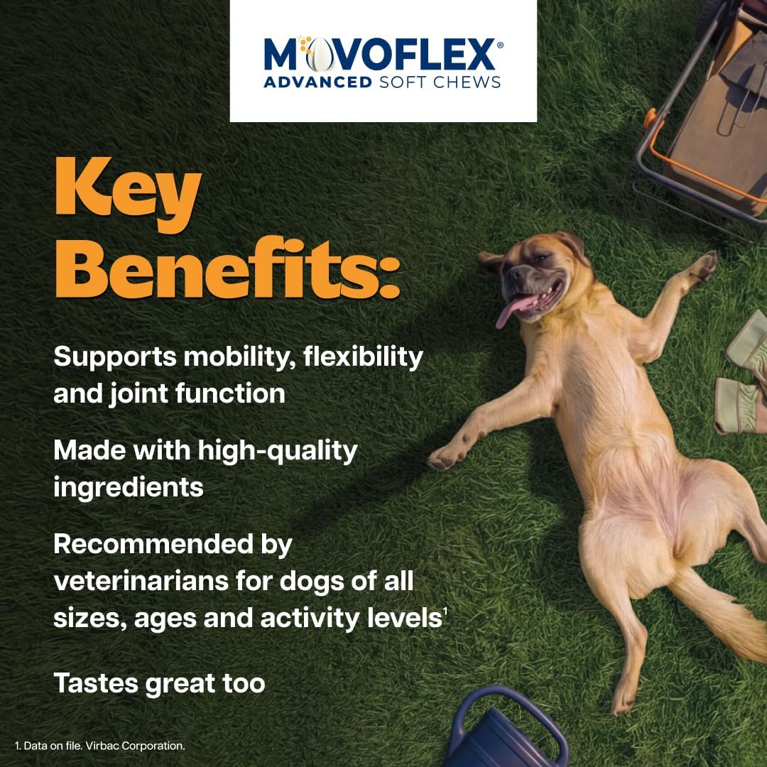 MOVOFLEX Advanced Soft Chews Hip and Joint Support Supplement