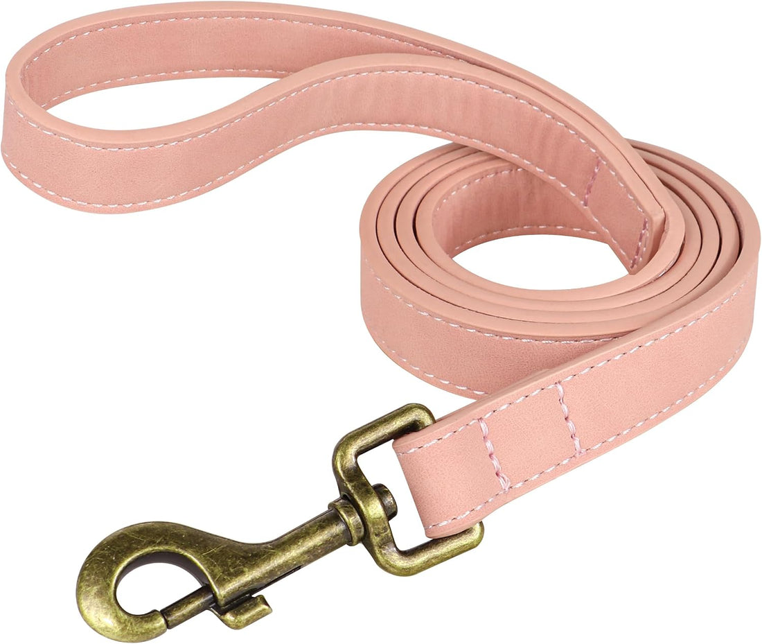 Didog PU Leather Dog Leash for Small Dogs, 5/8in x 5ft