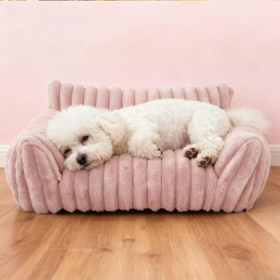 Cat Couch for Pets - Cute Cat Beds for Indoor Cats with Removable