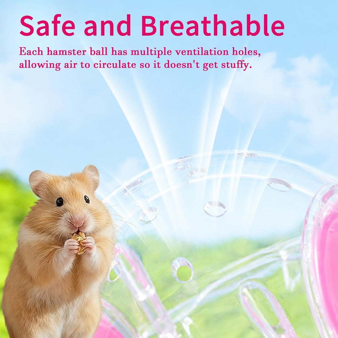 Hamster Ball with Detachable Strap, Portable Small Animal Travel Ball