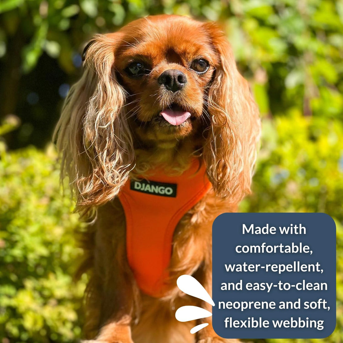 DJANGO Adventure Dog Harness - Padded & Adjustable