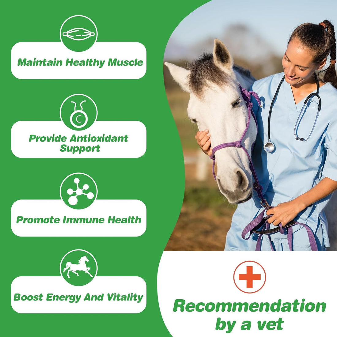 Vitamin E Horse Supplement Powder for Muscle, Nerve & Immune Support