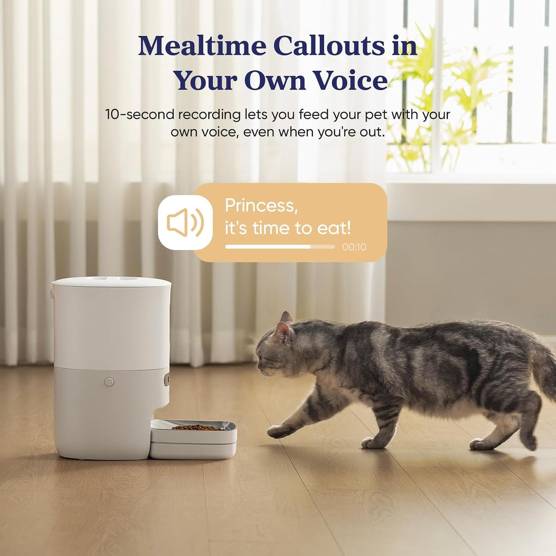 Pawsync Automatic Cat Feeder