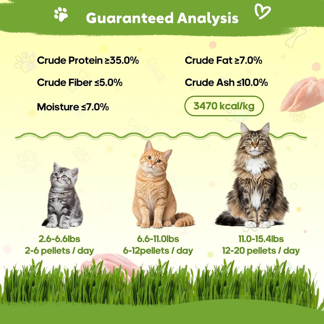 Whiskopia 4.23oz Cat Grass Treats for Indoor Cats Freeze-Dried Cat