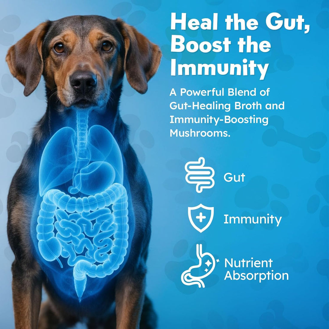 OKKÖBI Beef Bone Broth for Dogs