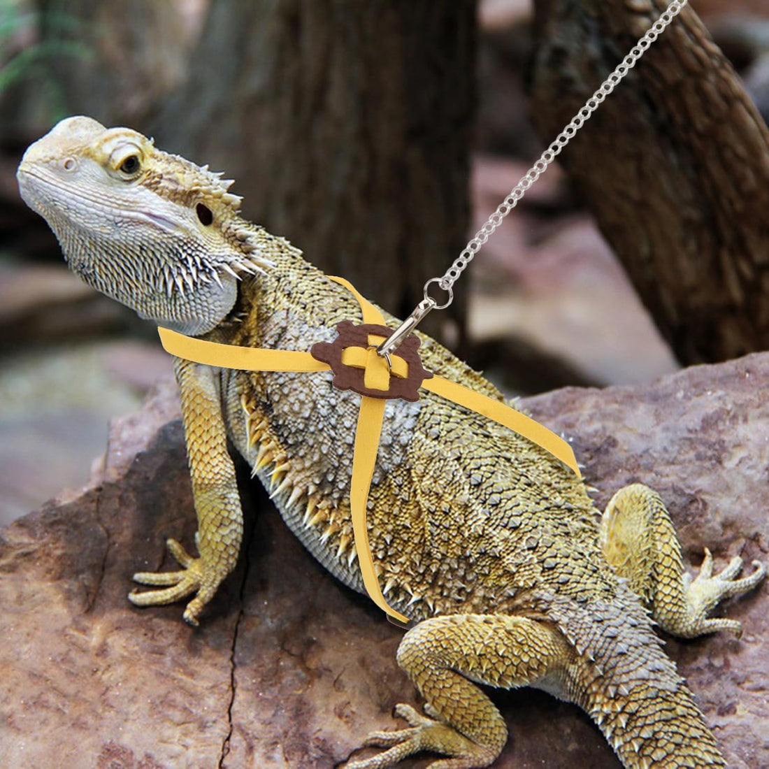 2 Pack Adjustable Reptile Harness and Leash for Lizard Gecko Bearded