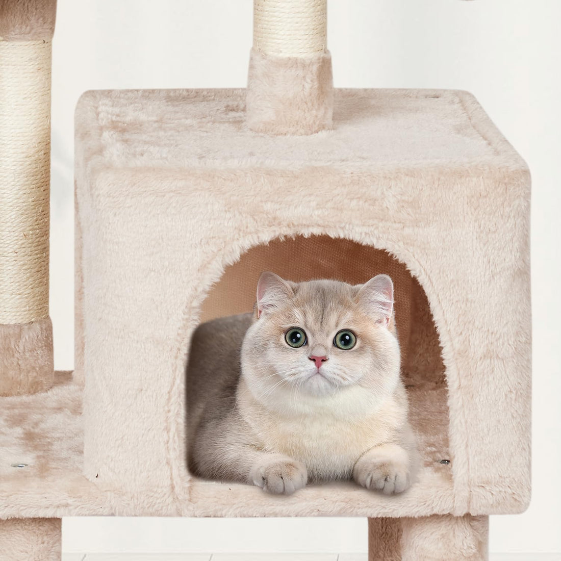 Cut Cat Tree Cat Tower Condo with Hammock Kittens Scratching Post