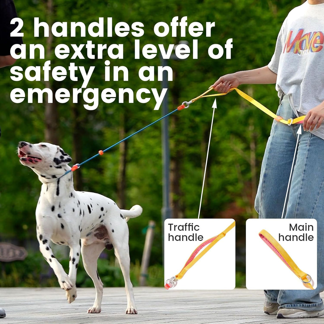 HowGo Slip Lead Dog Leash, 360°Swivel Anti-Tangle