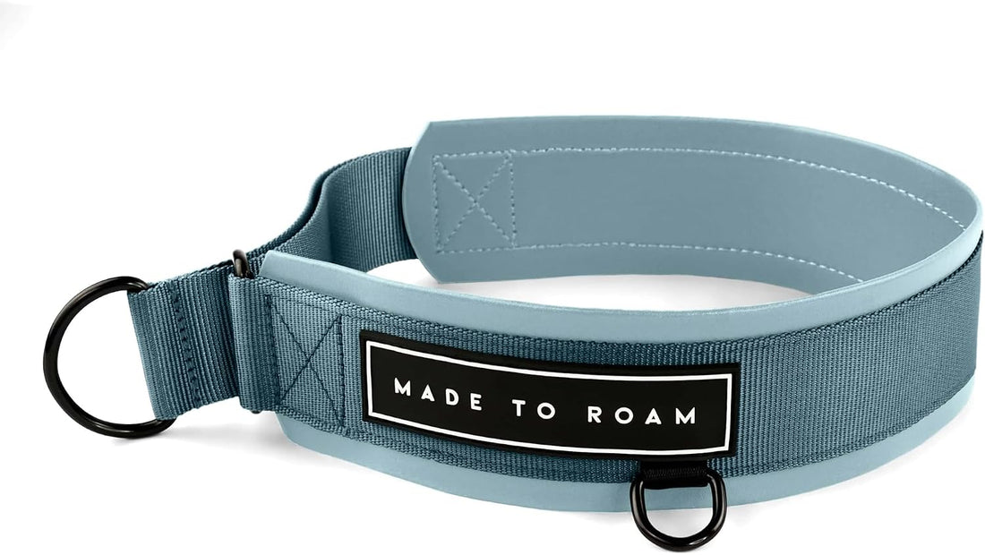 MADE TO ROAM Premium Everyday Dog Collar