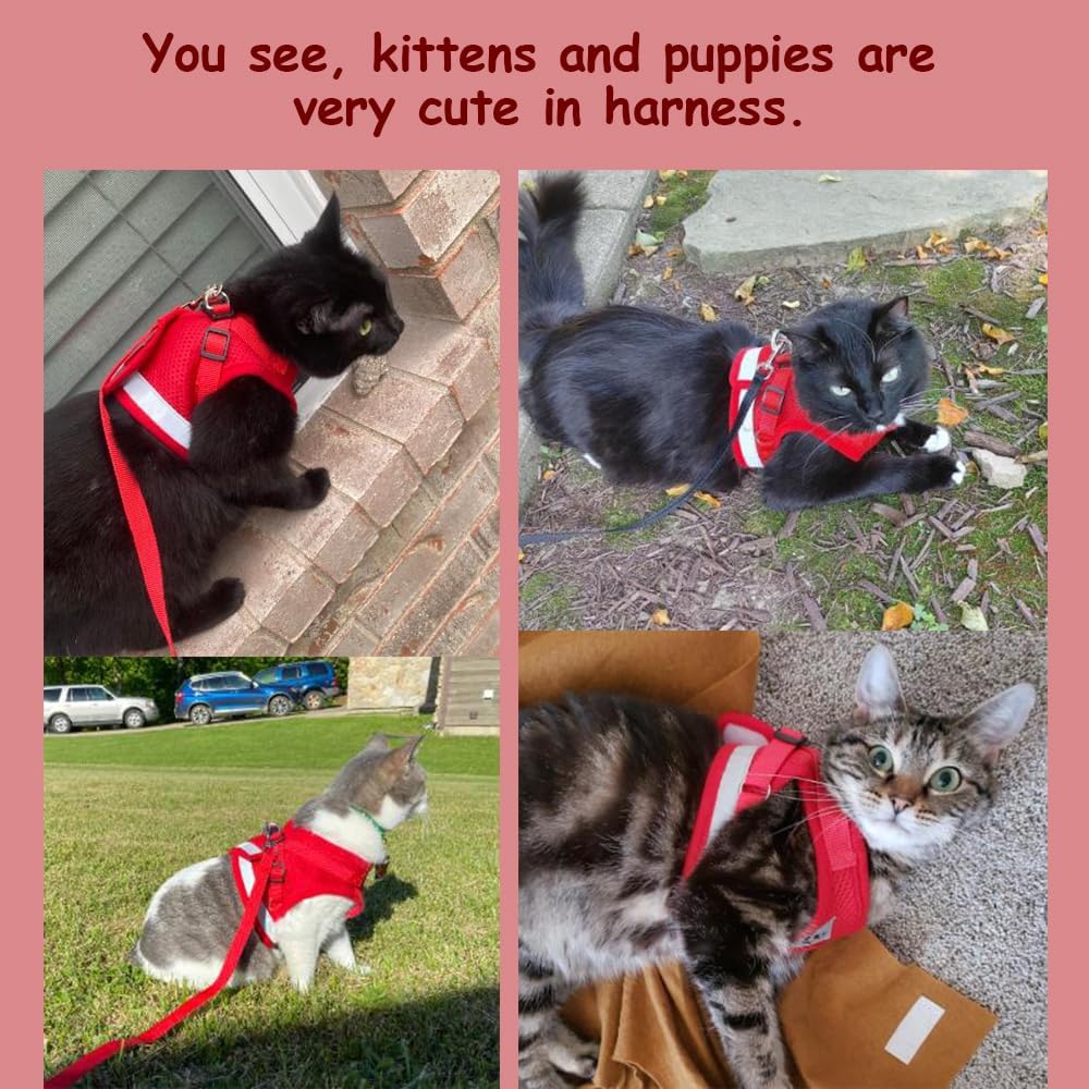 Cat Harnesses and Puppy Harness with Leashes Set