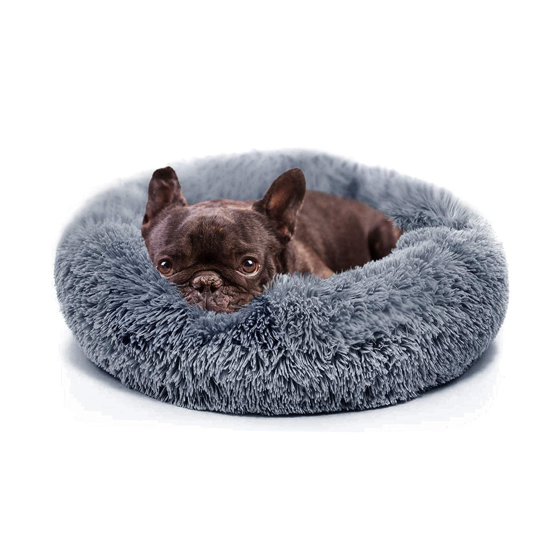 Small Calming Dogs Bed for Small Dogs Anti-Anxiety Machine Washable