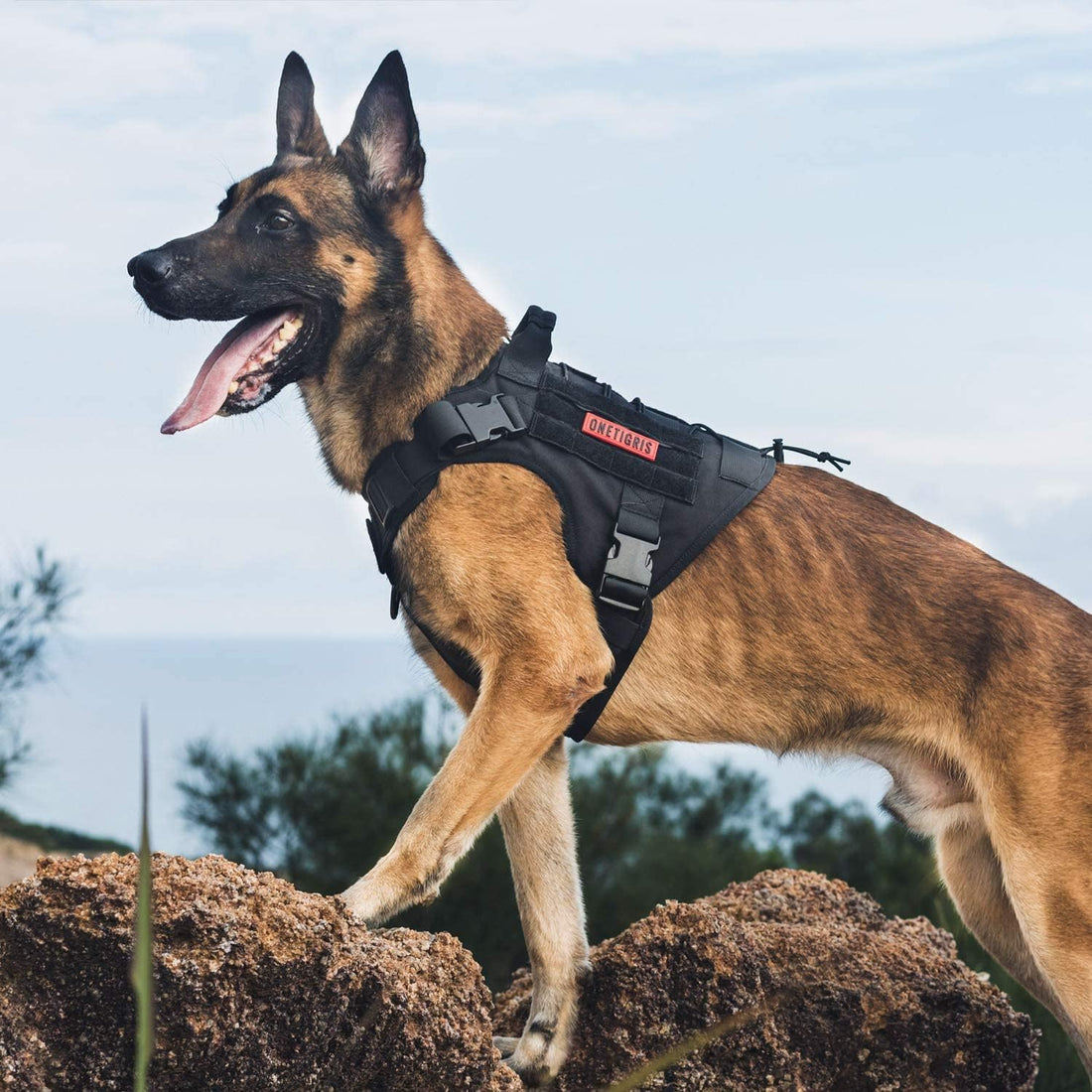 OneTigris Tactical Dog Harness with Handle for Small Medium Dogs