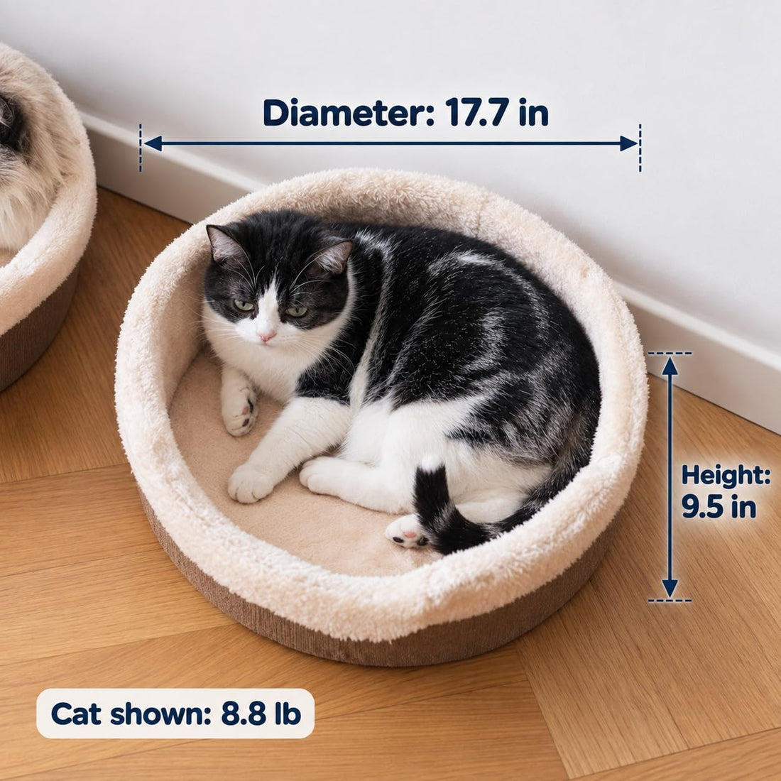 Cat Bed Cave - Enclosed Hideaway with Detachable Lid for Kitten