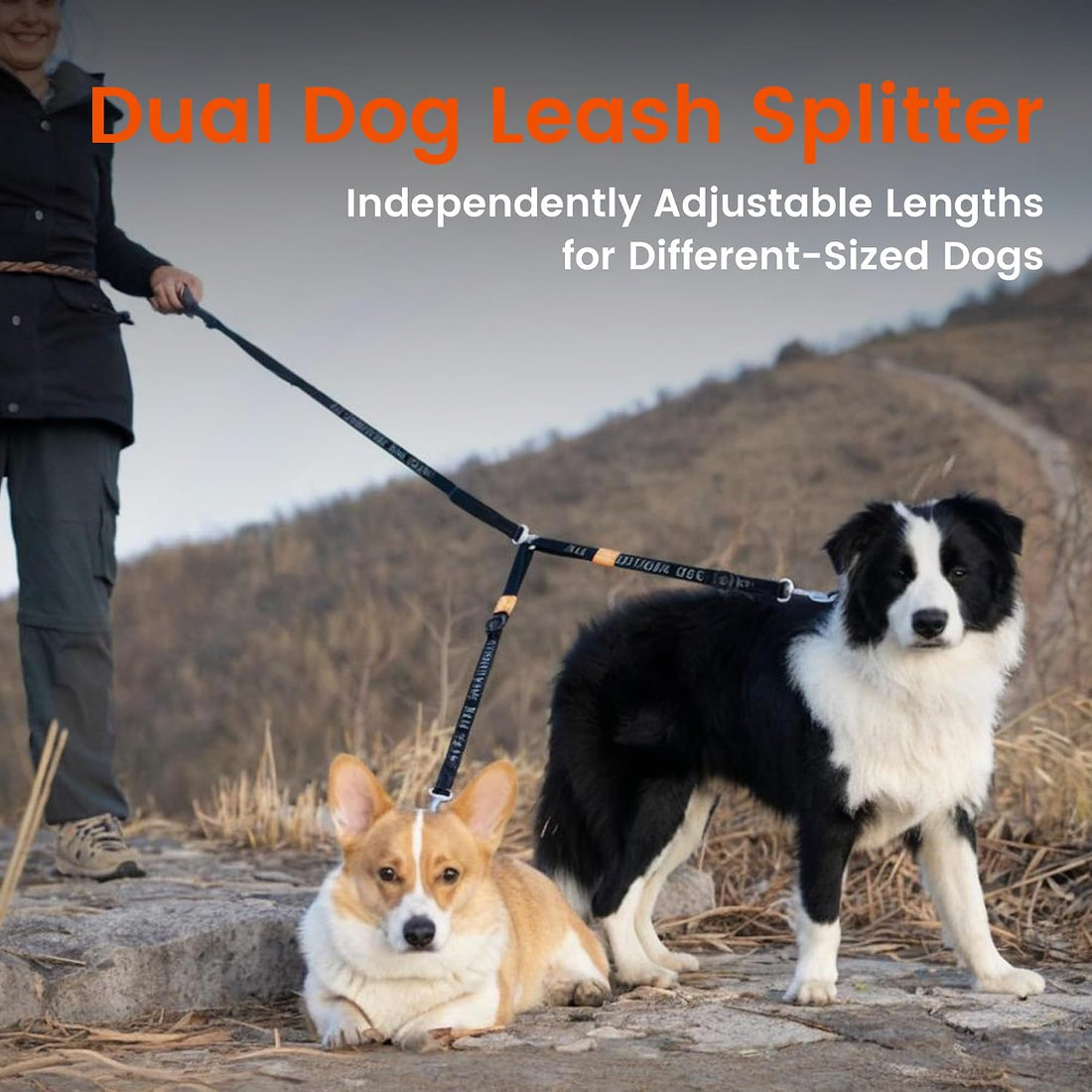 HOWGO Double Dog Leash,Tangle-Free 360 Swivel(Black, Pro S-M w.Handle)