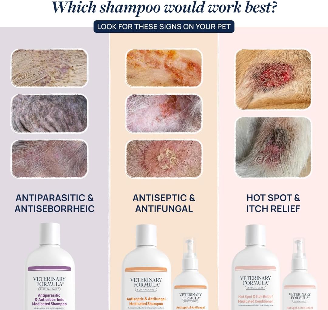 Veterinary Formula Clinical Care Antiseptic & Antifungal Shampoo +