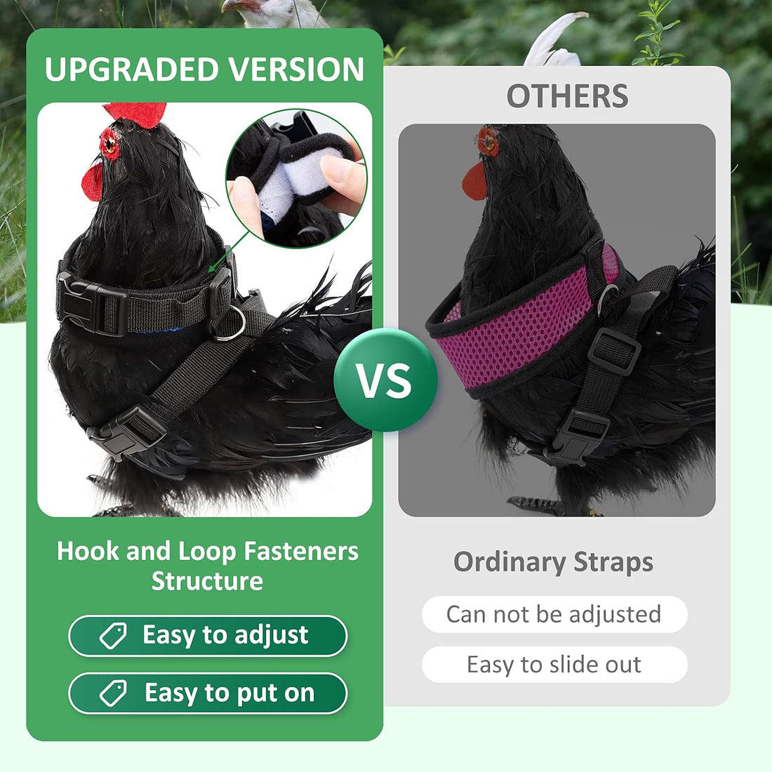 Adhafera Chicken Harness with Leash
