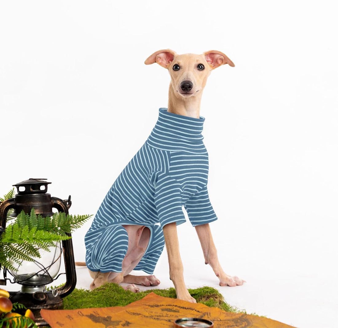 Dog Sweaters for Small Dogs Girls Boys
