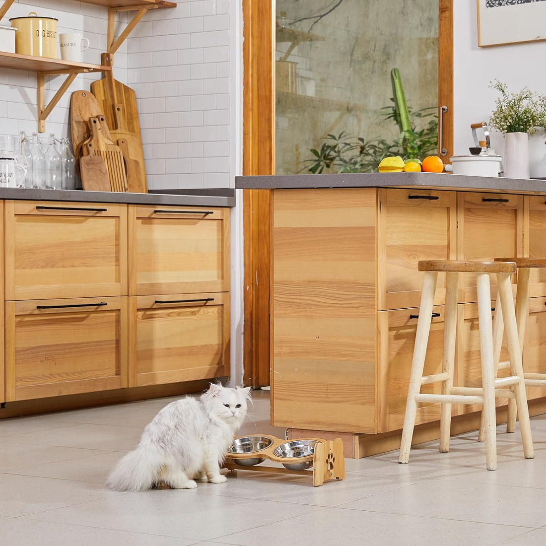 X-ZONE PET Elevated Dog Bowls for Cats and Dogs
