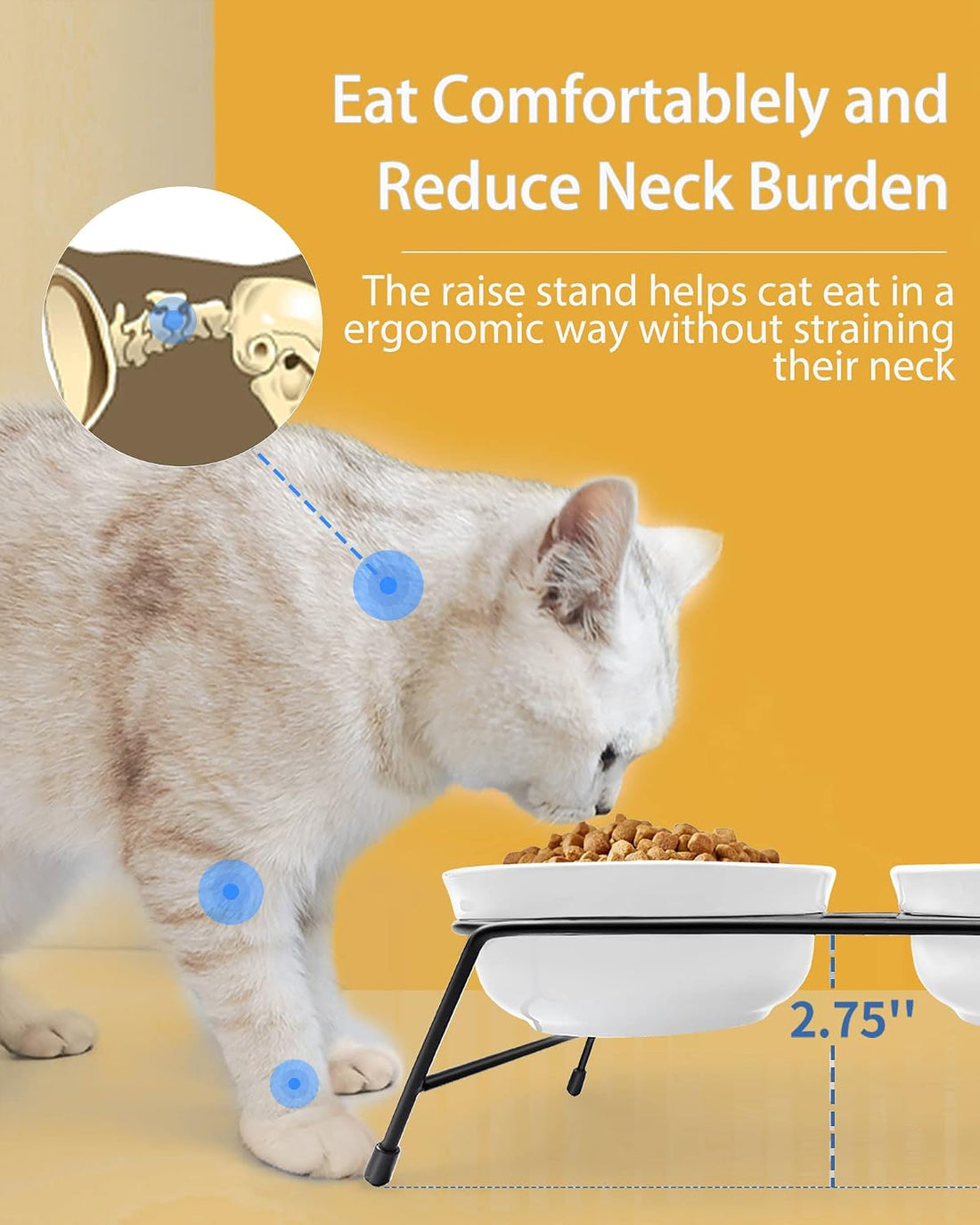 Anti-Vomiting Raised Cat Bowls