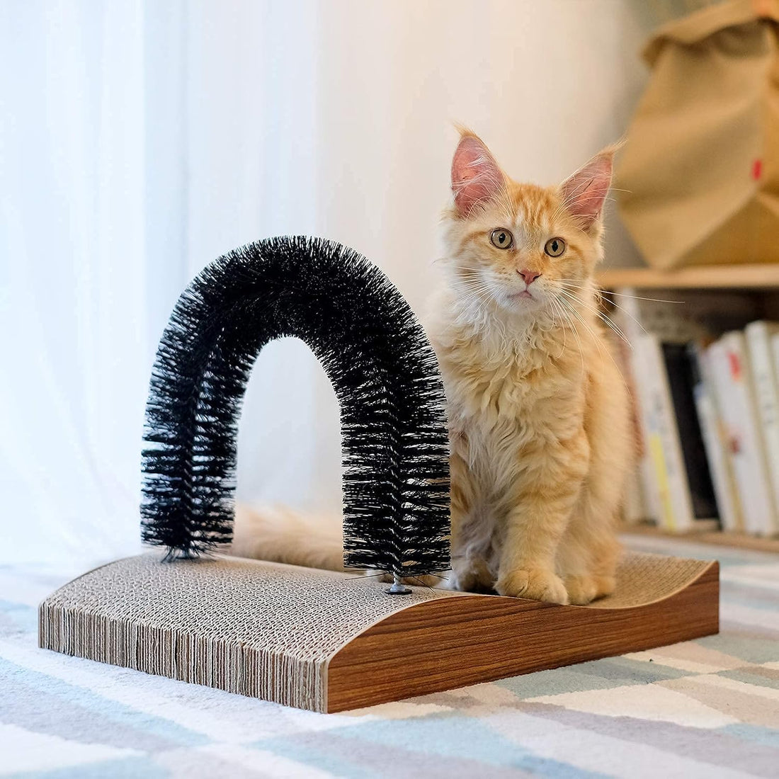 FUKUMARU Cat Self Groomer, 2.0 Version Cat Arch Face Scratcher