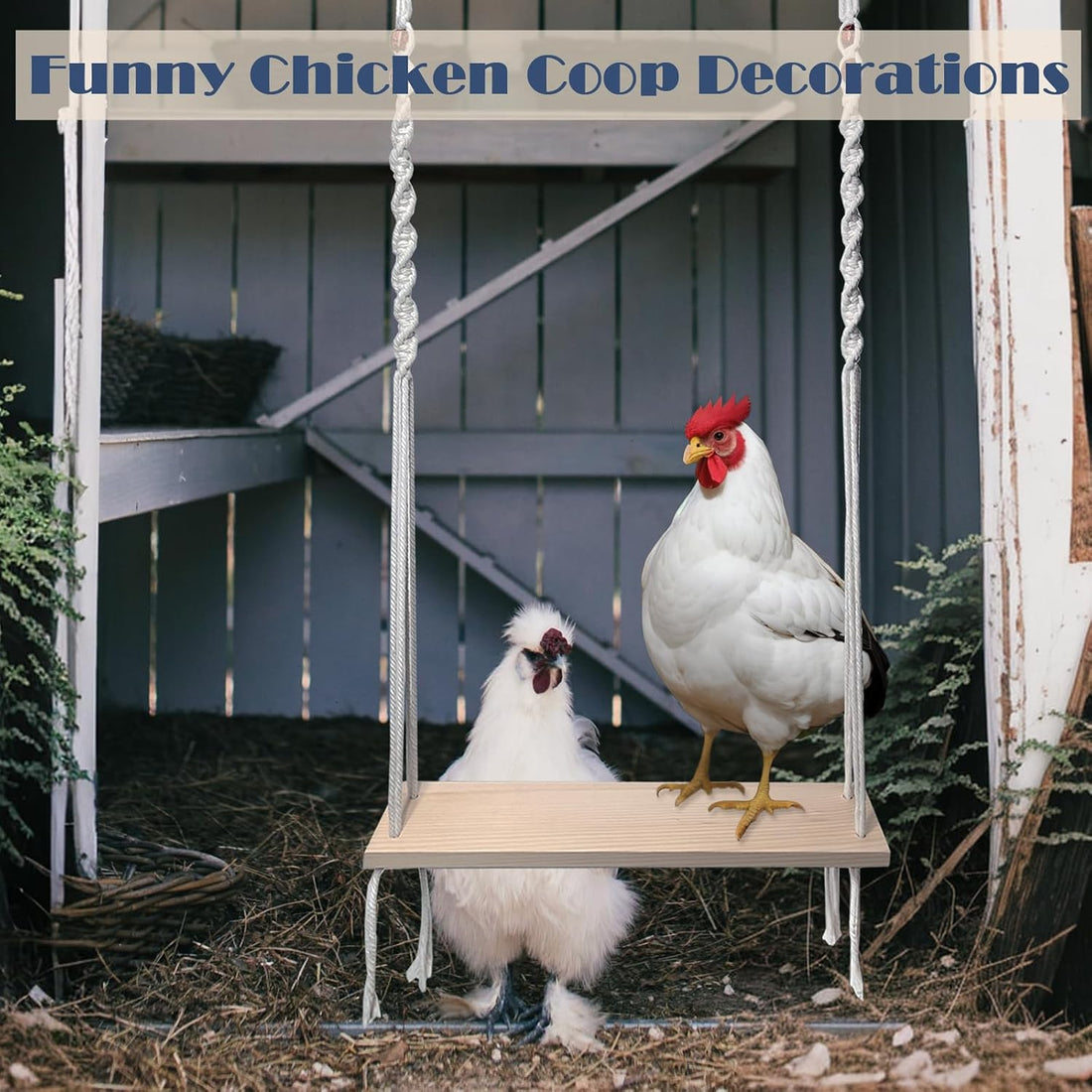 HahaMagic Chicken Swing Toy for Large Chicken Coop