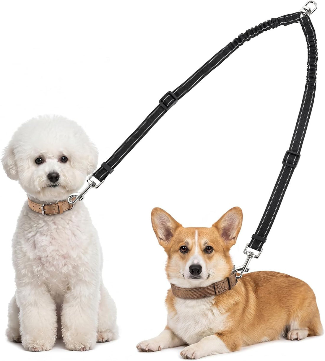 Uxisae Double Dog Leash