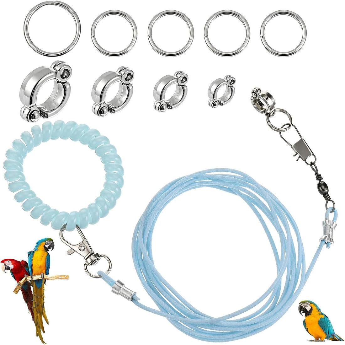Bird Leash with 4 Different Size Foot Ring