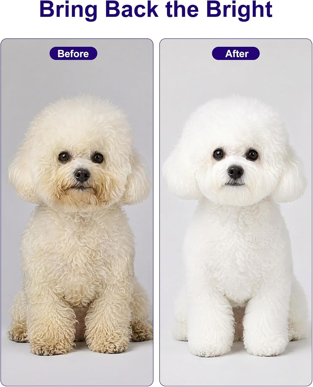 Dog Whitening Shampoo for White Dogs & Light-Colored Coats, 64oz