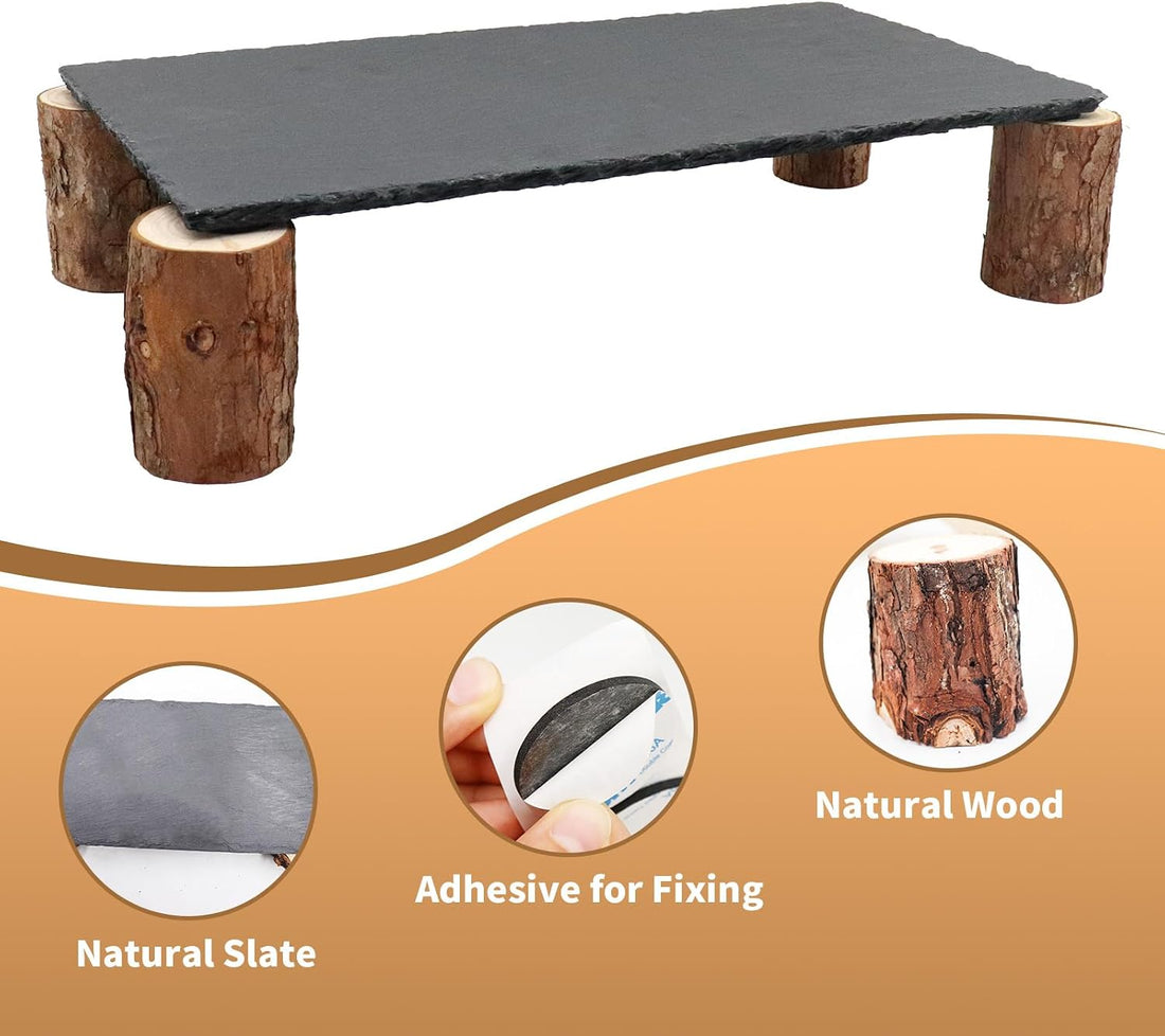 Bearded Dragon Basking Platform