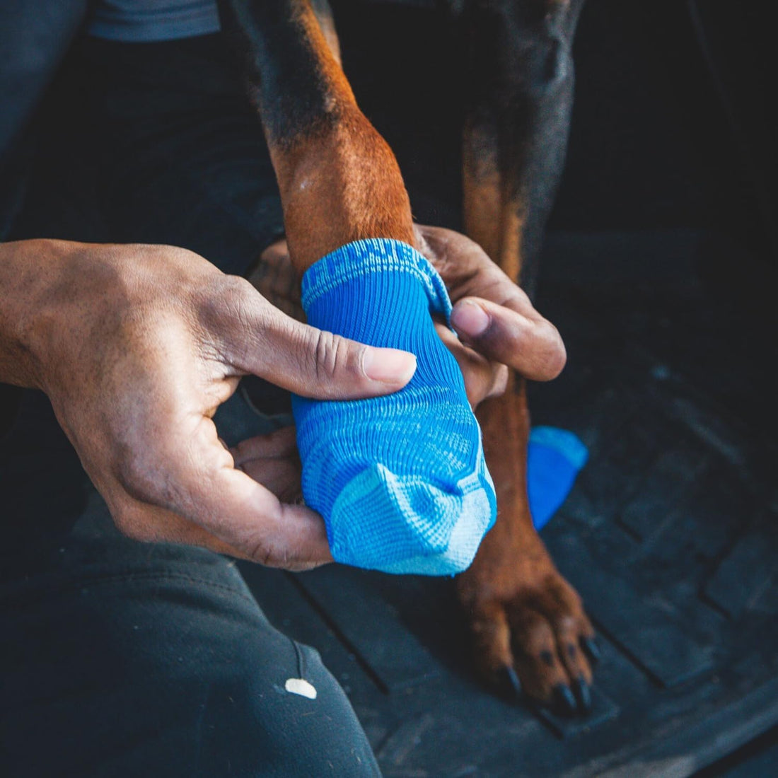 Ruffwear, Bark'n Boot Dog Socks - 4 Count