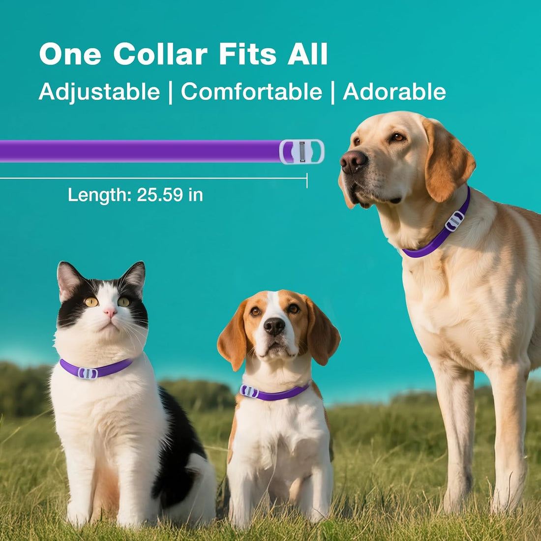 ZingZap Flea & Tick Collar Plant Powered Purple 2-Pack